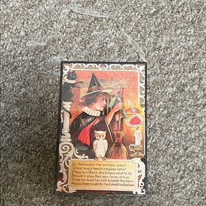 Halloween Witch Decor with Owl